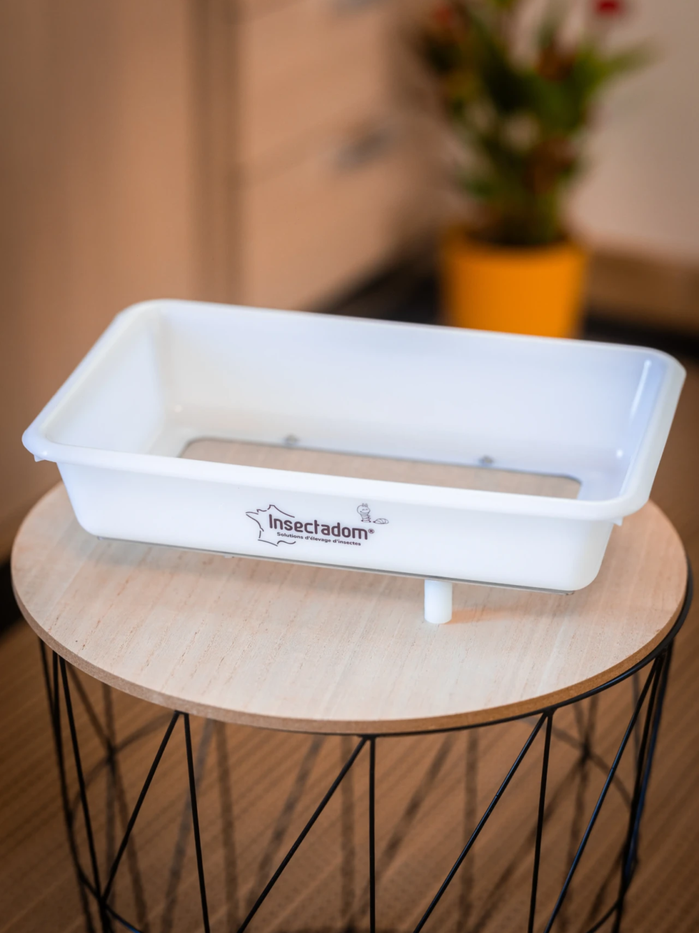 insectadom-tamis-avec-cadre-en-inox