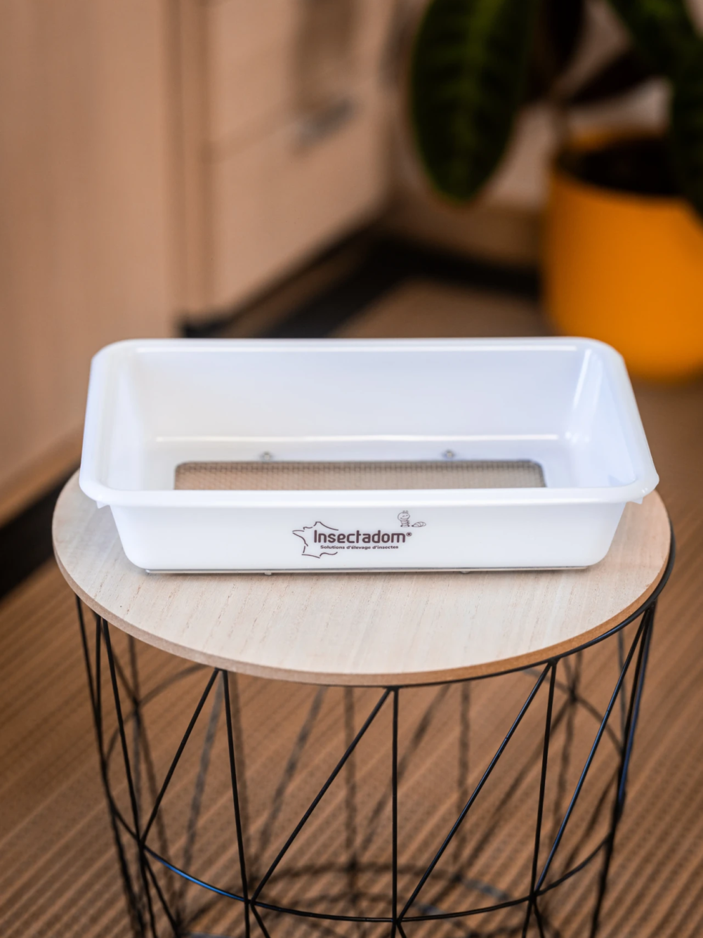 insectadom-bac-de-ponte-avec-cadre-en-inox