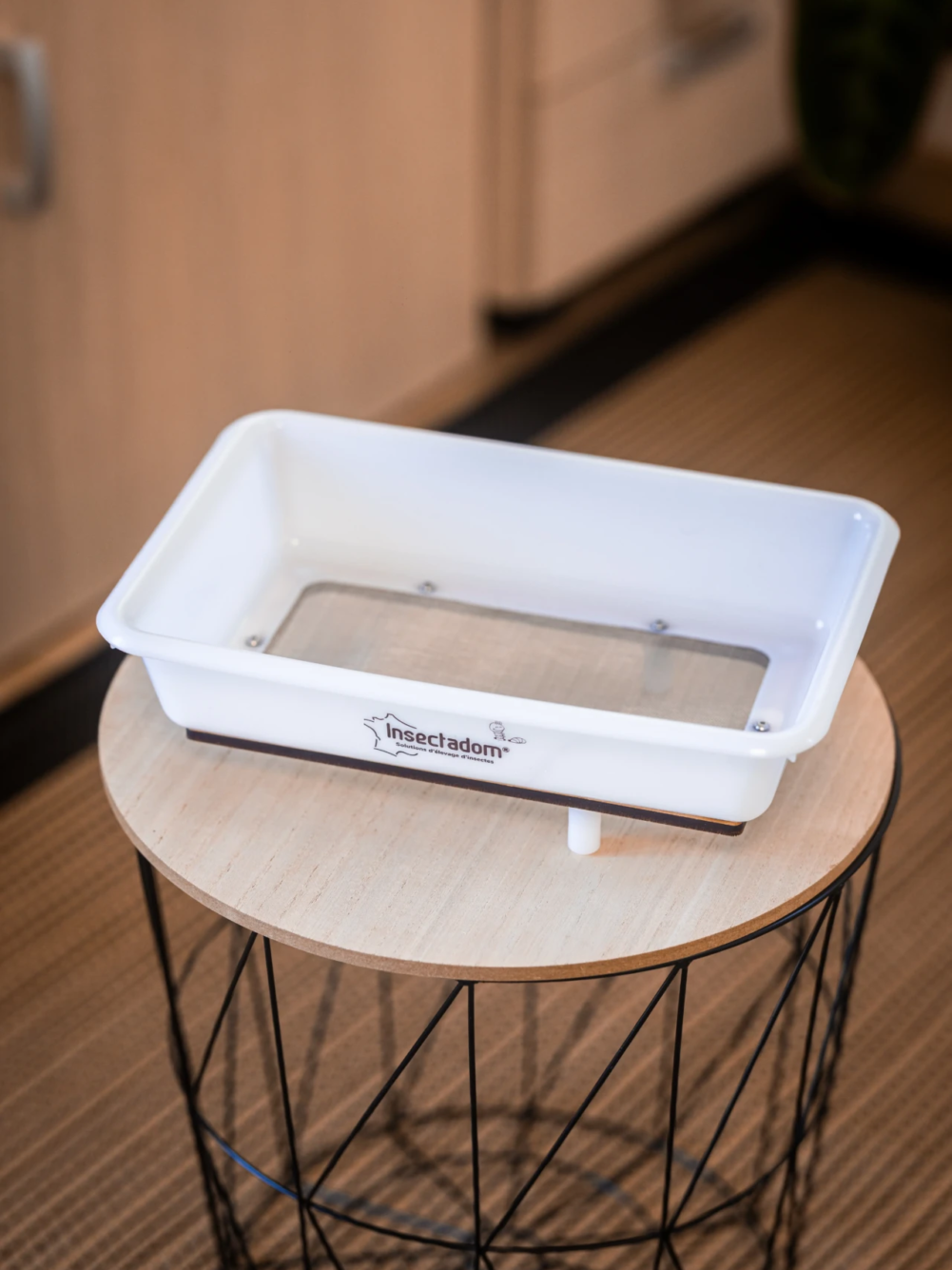 insectdaom-tamis-avec-cadre-en-bois