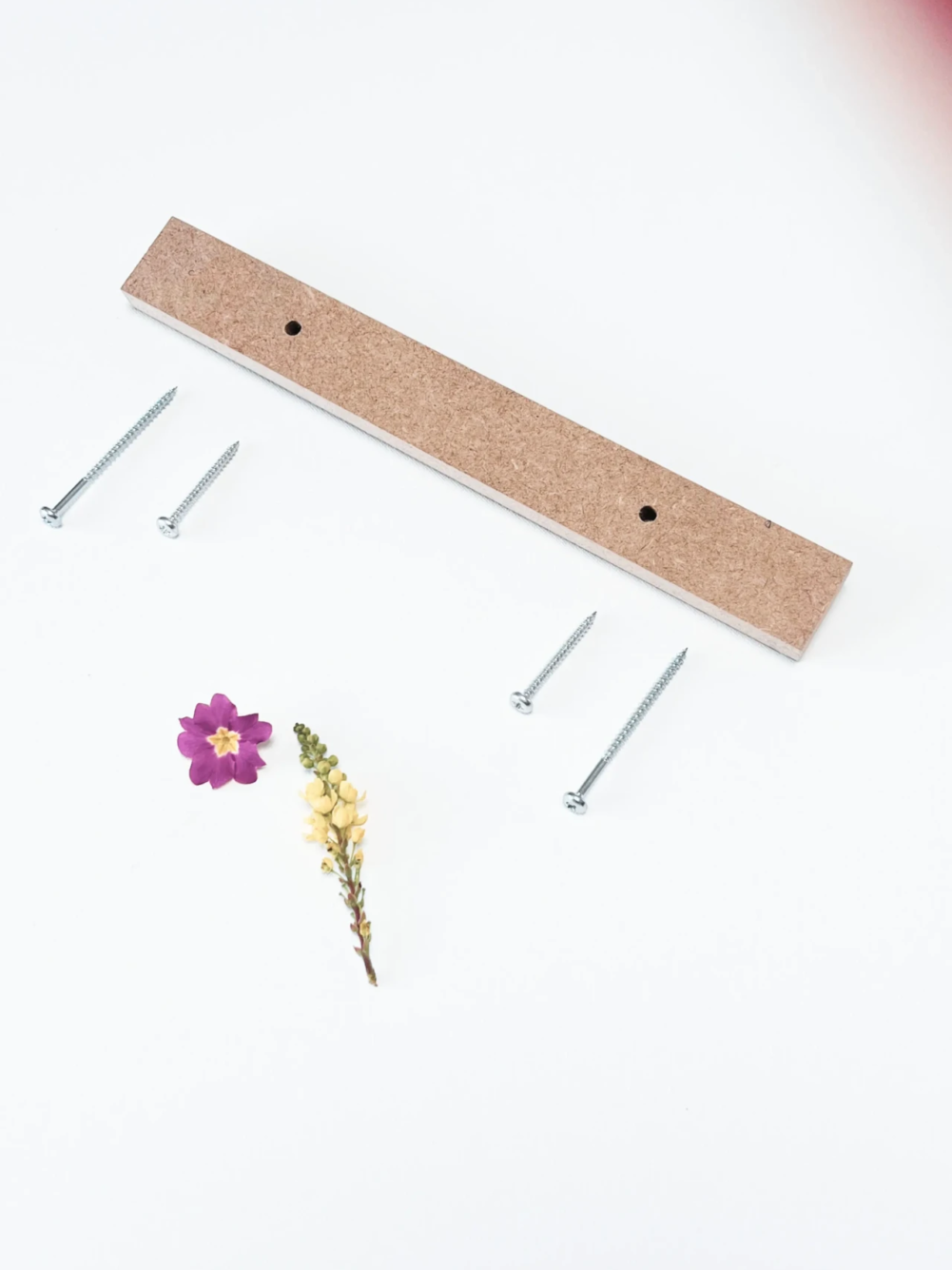 Insectadom-cale-pour-plithe-1