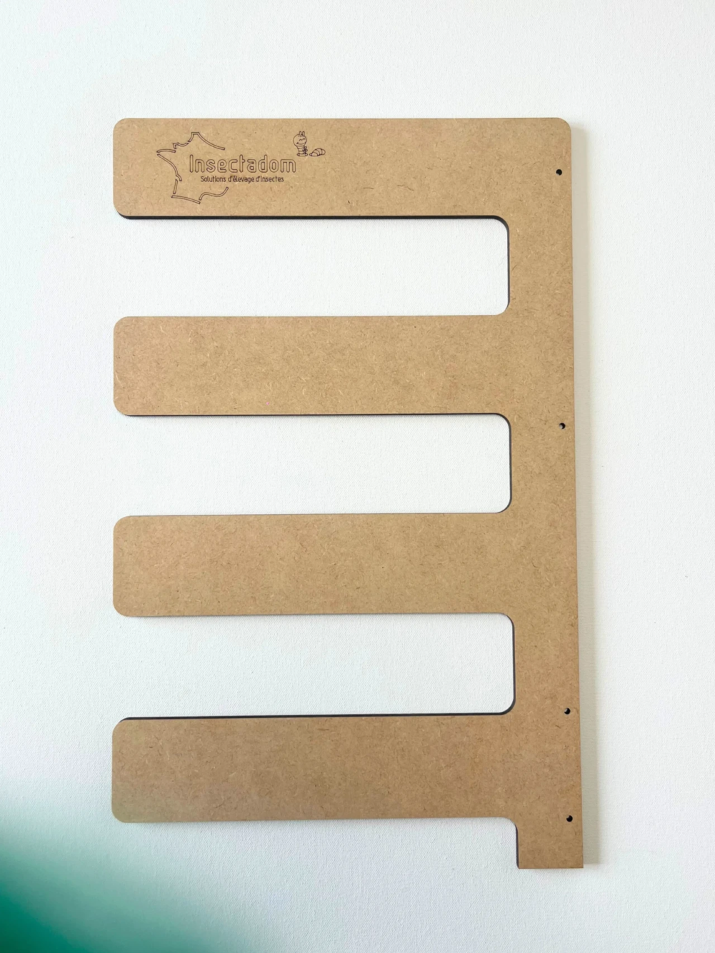 Insectadom-flanc-superieur-droit