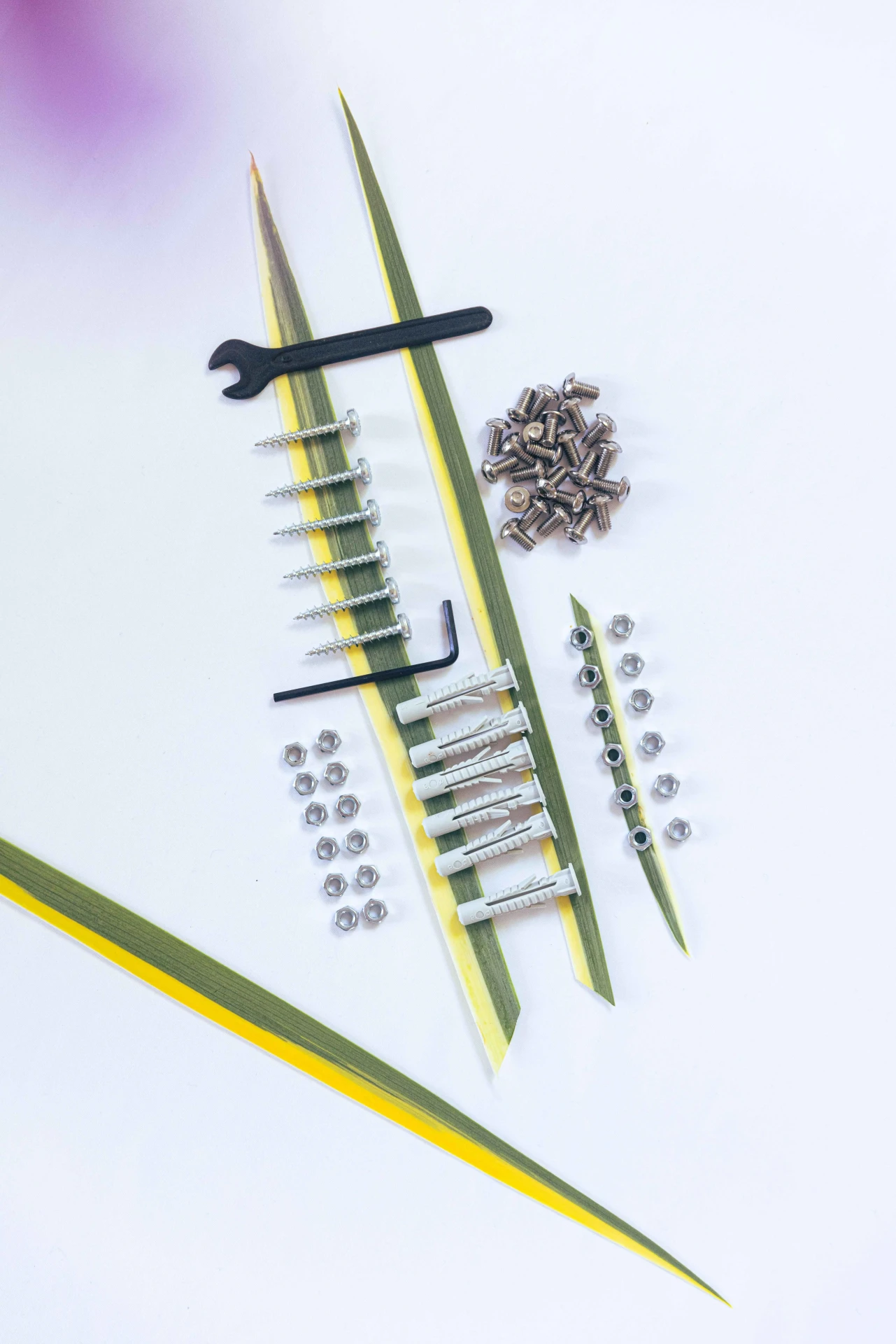 Lot de vis spécifique au rack inox 16 places vertical.