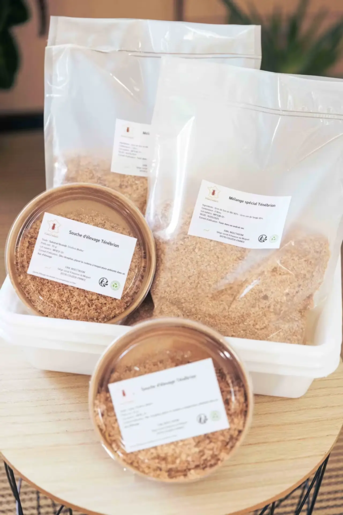 Kit de démarrage élevage d'insectes