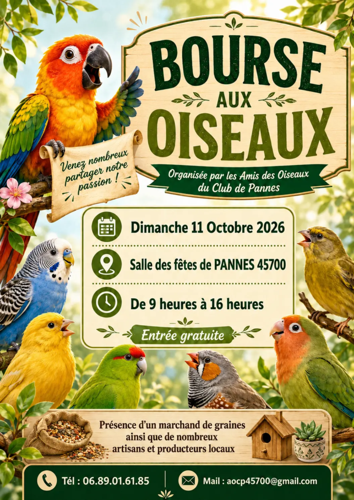 affiche 2026